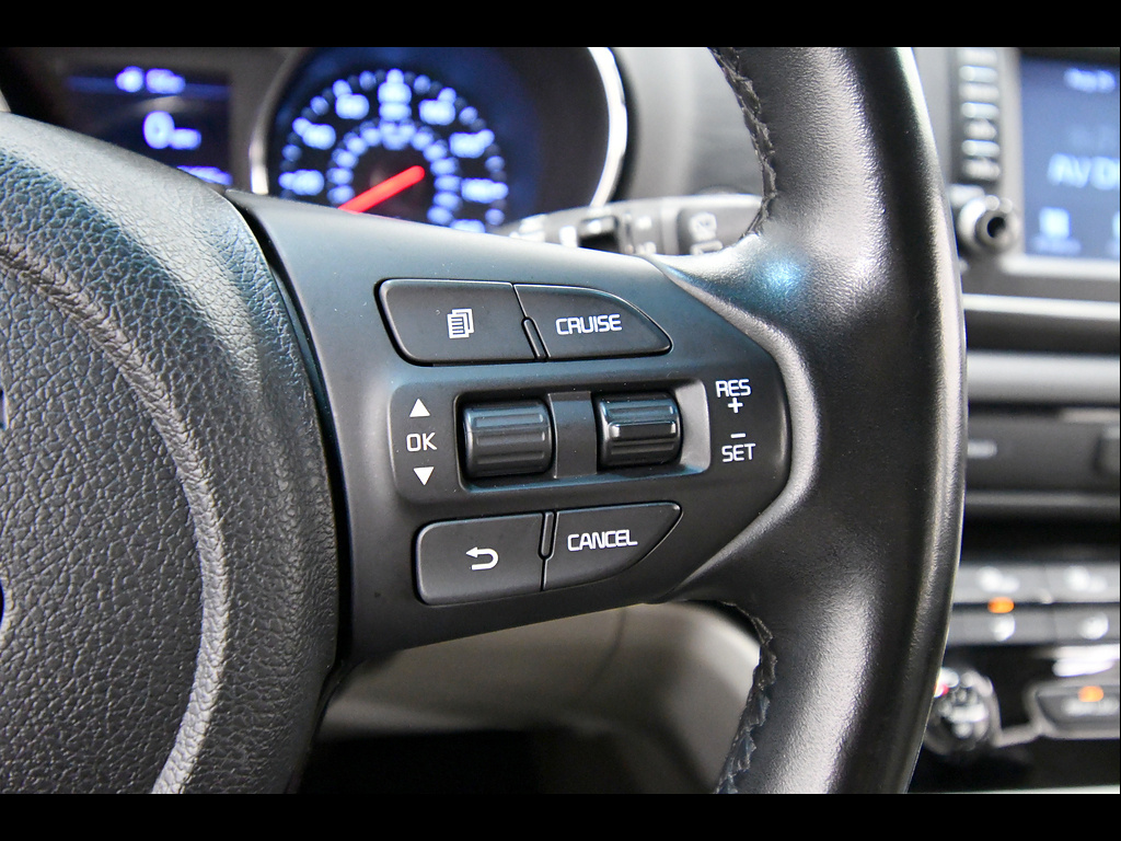 Used 2019 Kia Sedona Van