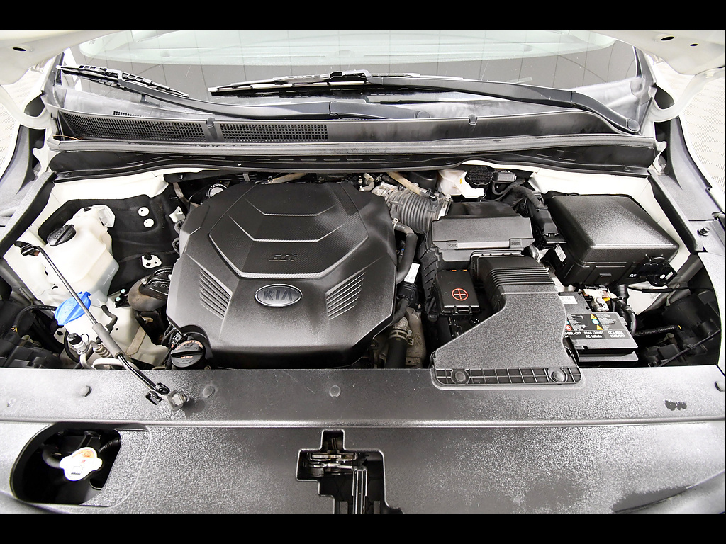 Used 2019 Kia Sedona Van