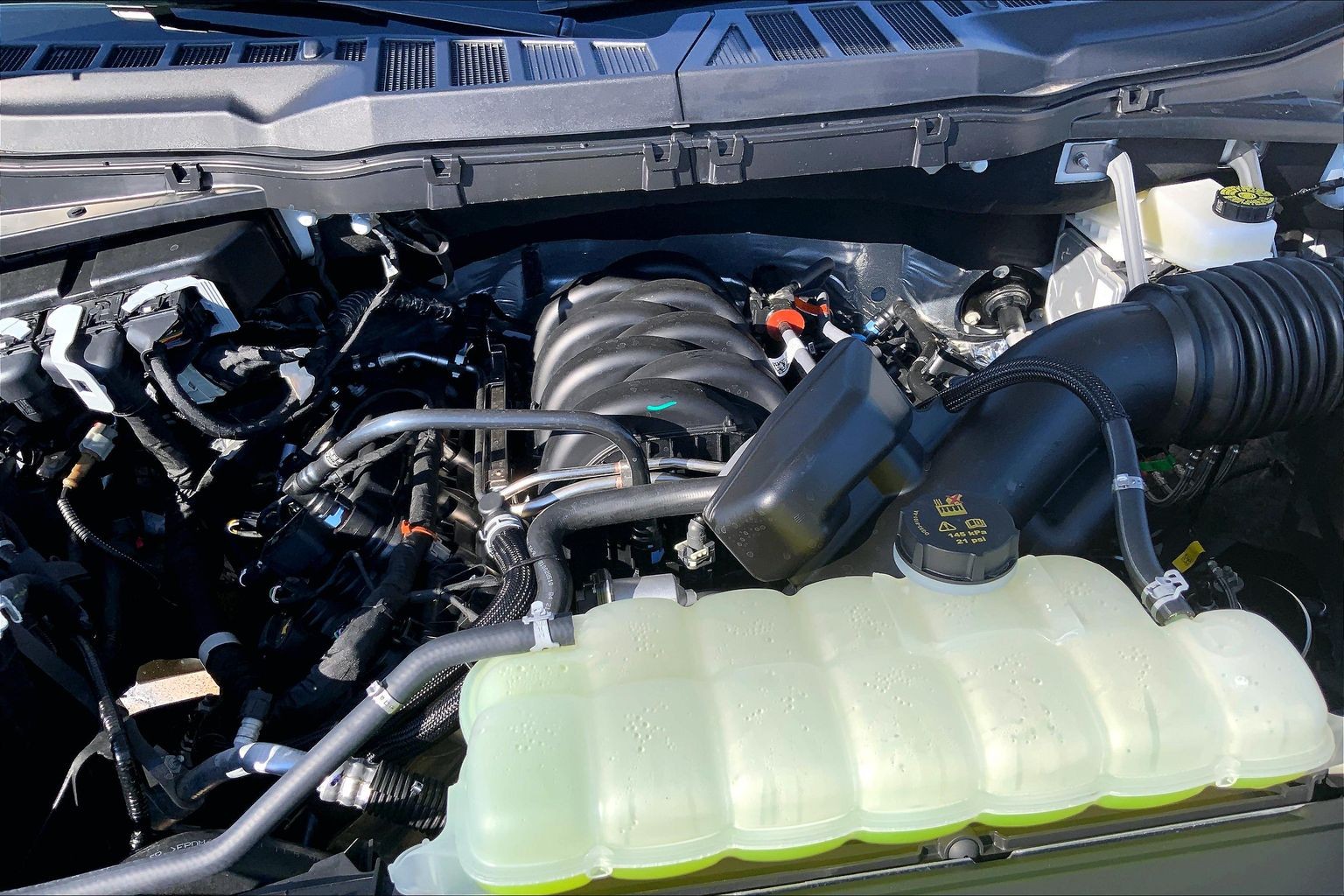 2026 Ford F-150 photo 11 of 13