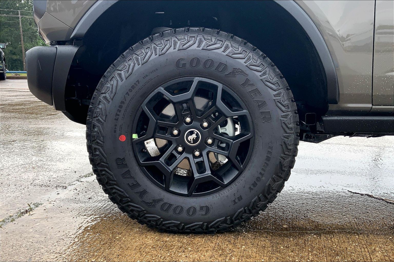 2026 Ford Bronco Badlands Marsh Gray at Lufkin Ford