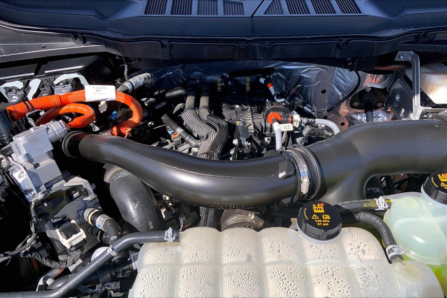 2024 Ford F-150 photo 8 of 31