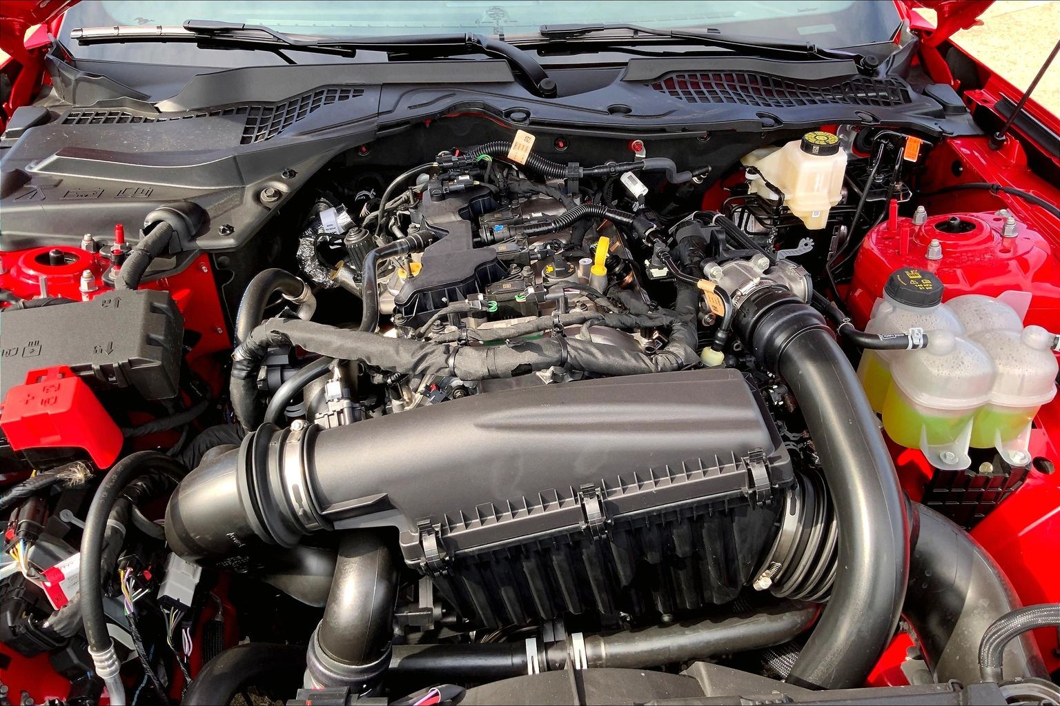 2026 Ford Mustang EcoBoost Premium Fastback Race Red at Lufkin Ford