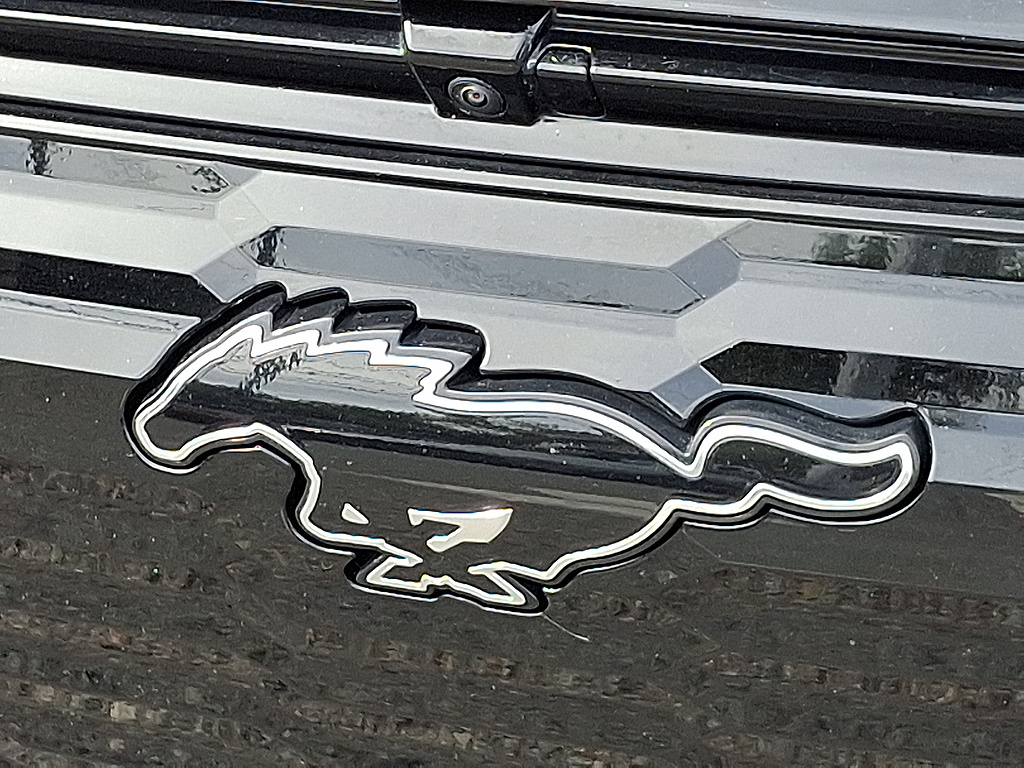 2025 Ford Mustang Mach-E photo 30 of 31
