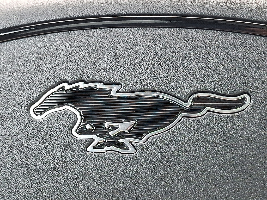 2025 Ford Mustang Mach-E photo 31 of 31