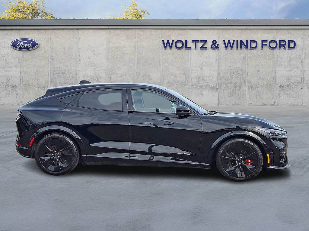 2025 Ford Mustang Mach-E photo 7 of 31