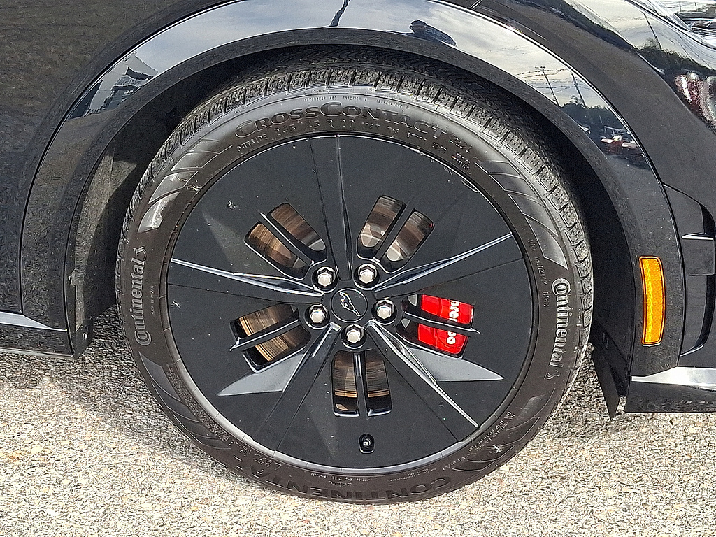 2025 Ford Mustang Mach-E photo 8 of 31