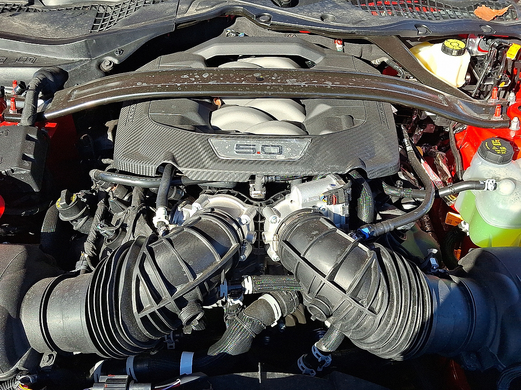 2026 Ford Mustang GT Premium RED at Woltz & Wind Ford