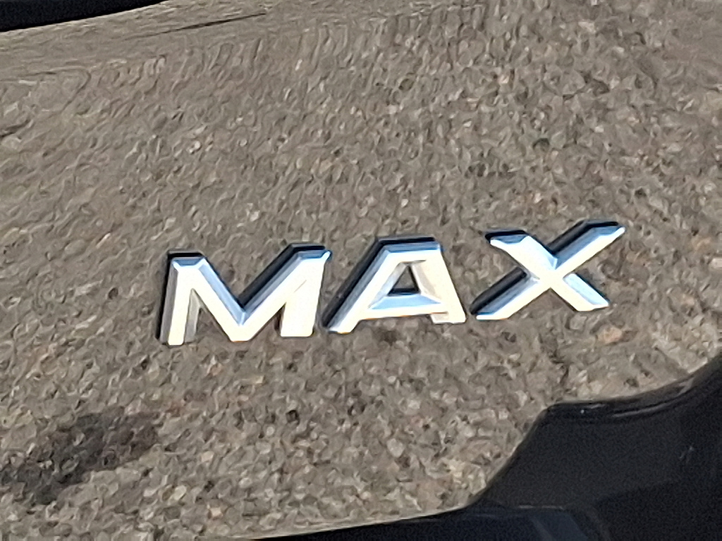 2025 Ford Expedition Max Platinum Agate Black at Lake View Ford