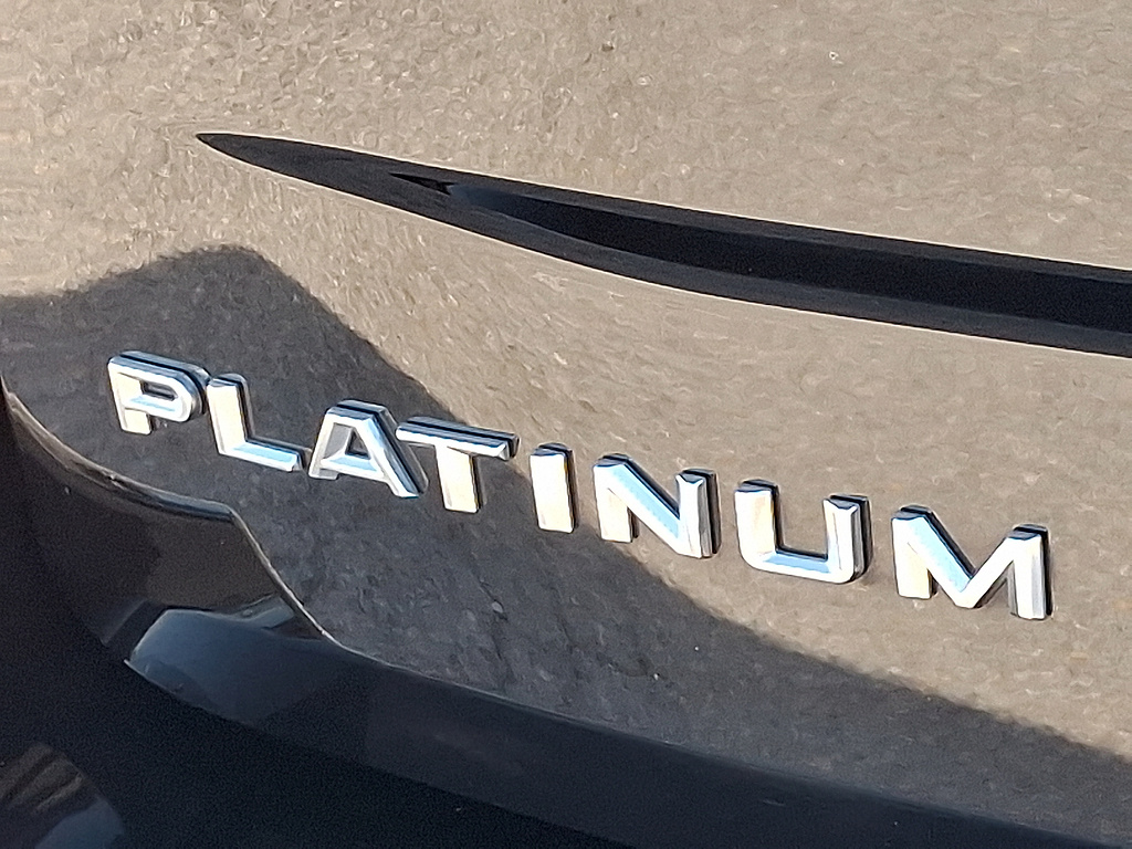 2025 Ford Expedition Max Platinum Agate Black at Lake View Ford