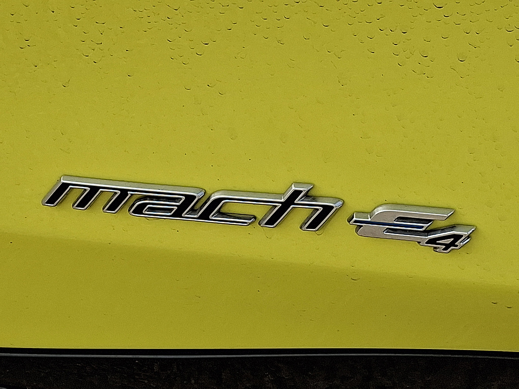 2025 Ford Mustang Mach-E photo 31 of 31