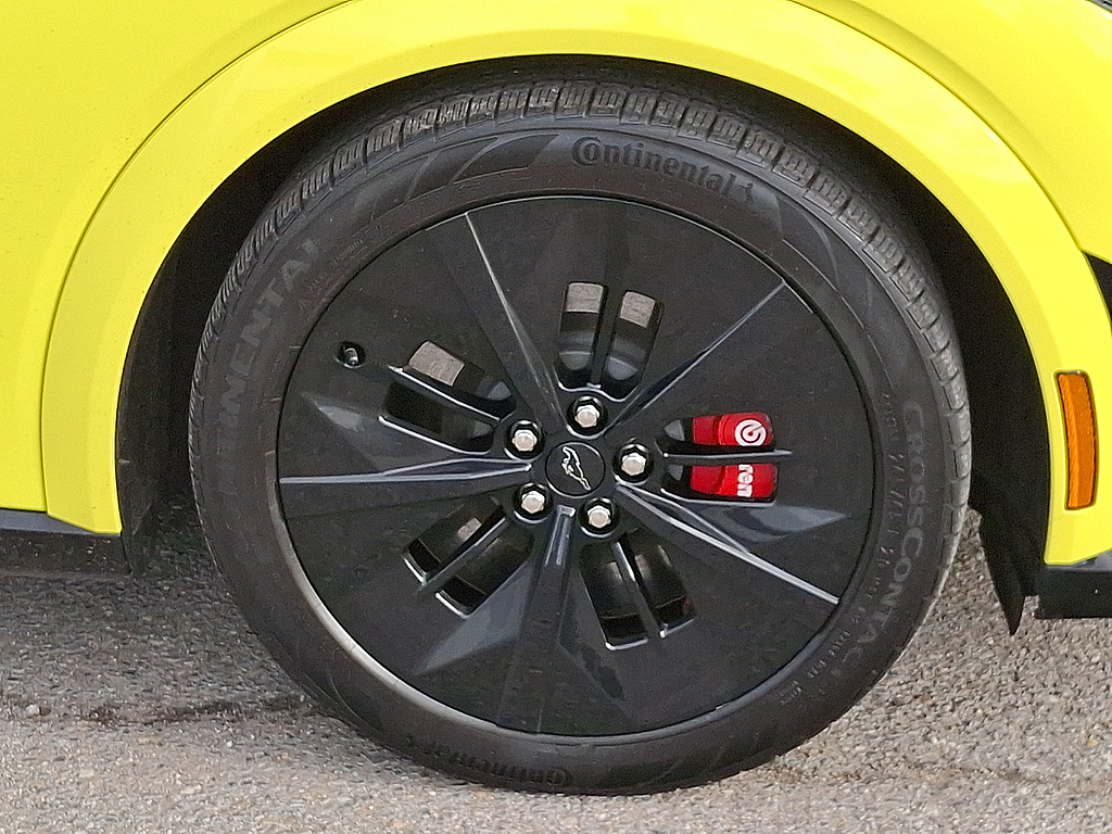 2025 Ford Mustang Mach-E photo 8 of 31