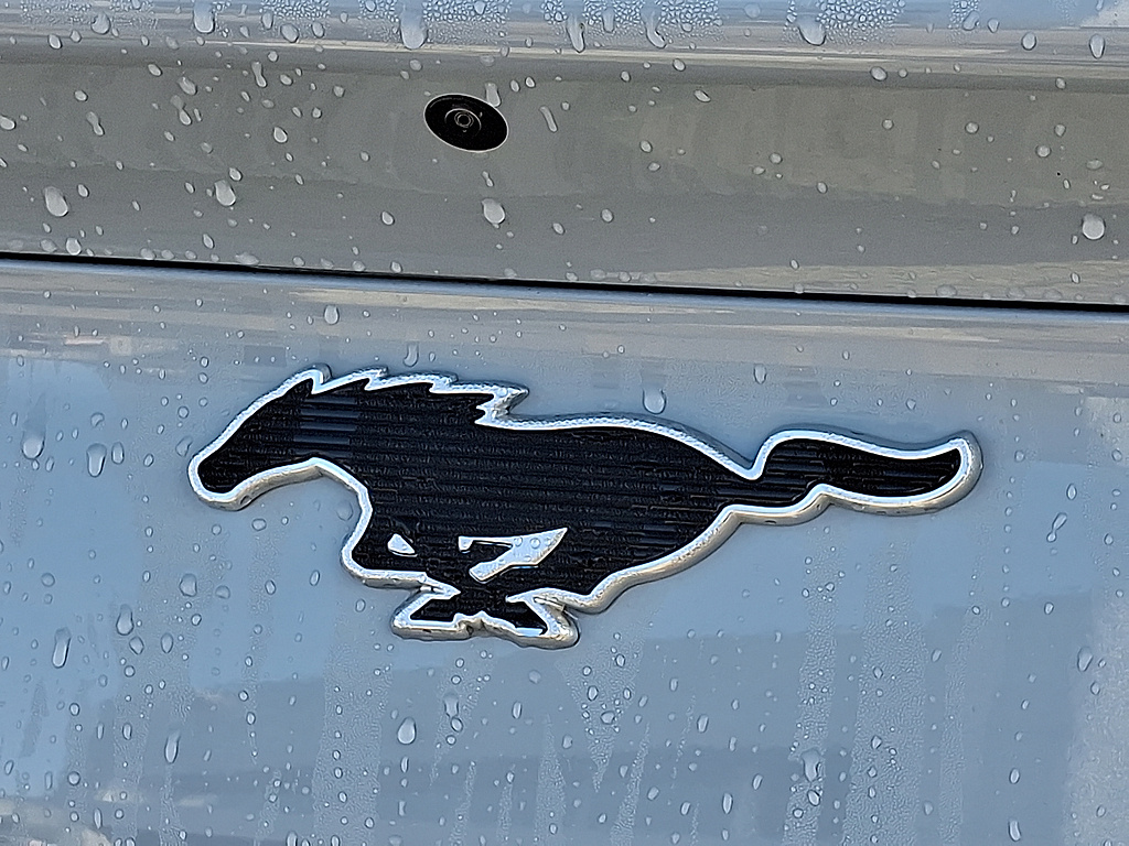2025 Ford Mustang Mach-E Select Glacier Gray Metallic Tri-Coat at Woltz & Wind Ford