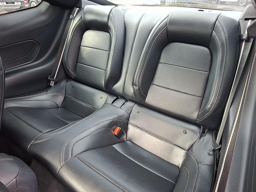 2024 Ford Mustang photo 10 of 31