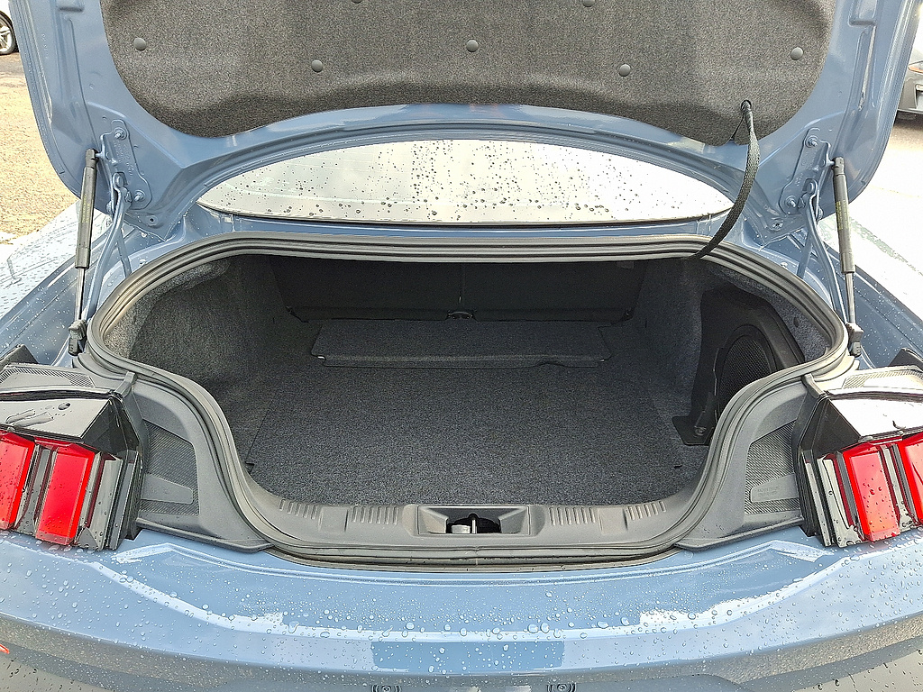 2024 Ford Mustang photo 28 of 31
