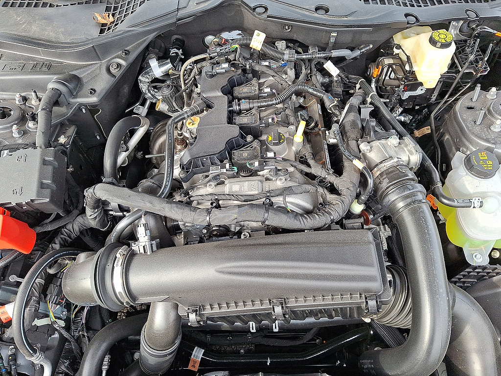 2026 Ford Mustang photo 26 of 31