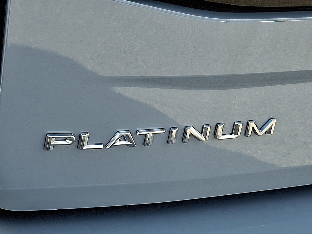 2025 Ford Expedition Max Platinum Glacier Gray Metallic Tri-Coat at Lake View Ford