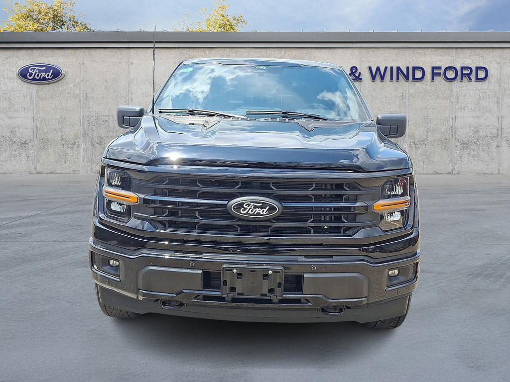 2025 Ford F-150 XLT - 1