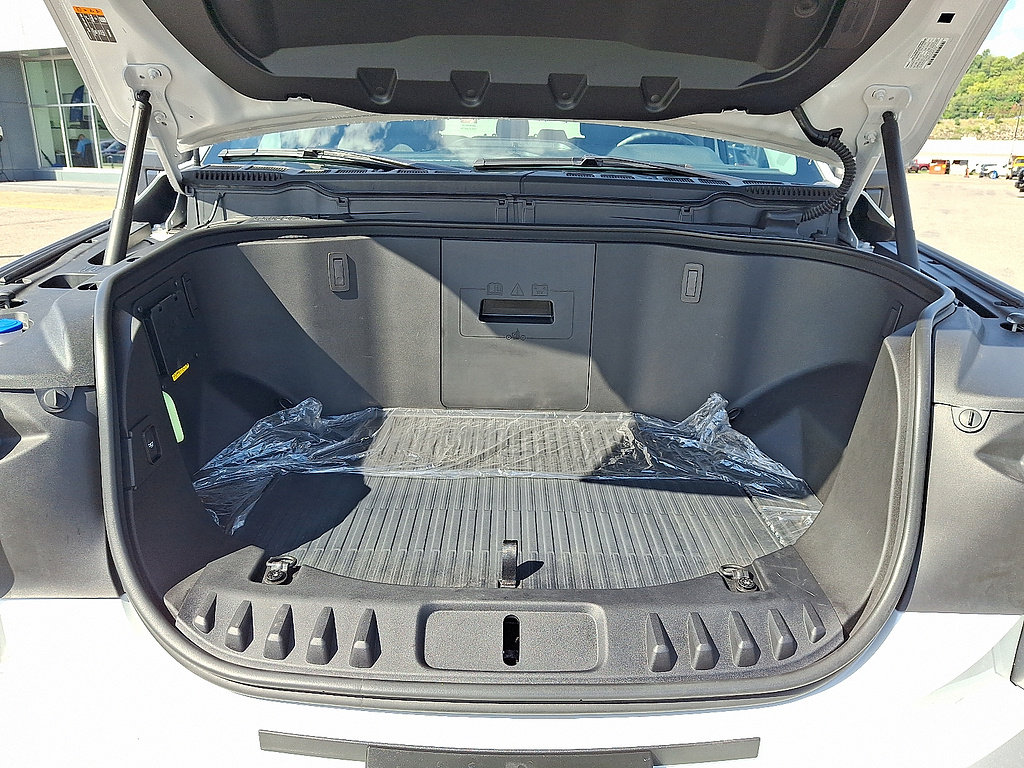 2025 Ford F-150 Lightning XLT WHITE at Woltz & Wind Ford