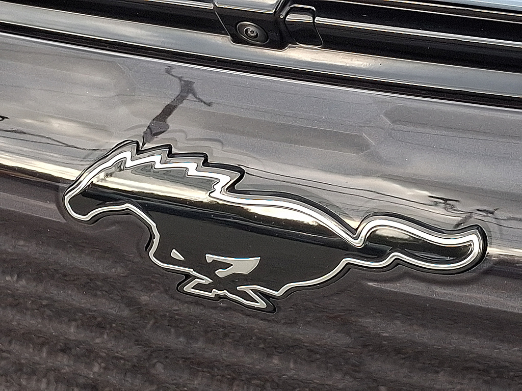 2023 Ford Mustang Mach-E photo 31 of 31