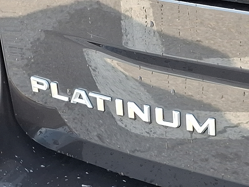 2025 Ford Expedition Platinum GRAY at Lake View Ford