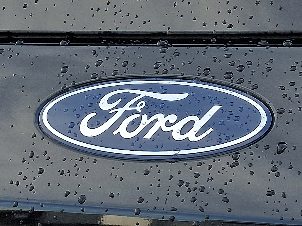 2025 Ford Expedition Platinum GRAY at Lake View Ford