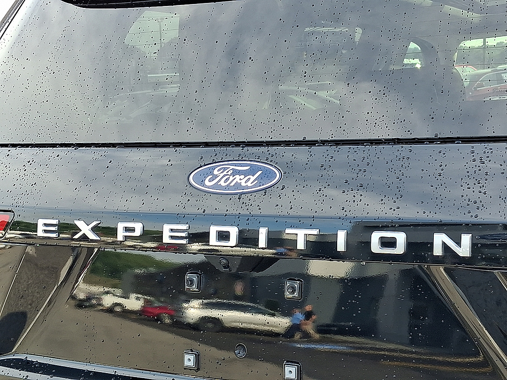 2025 Ford Expedition Platinum GRAY at Lake View Ford