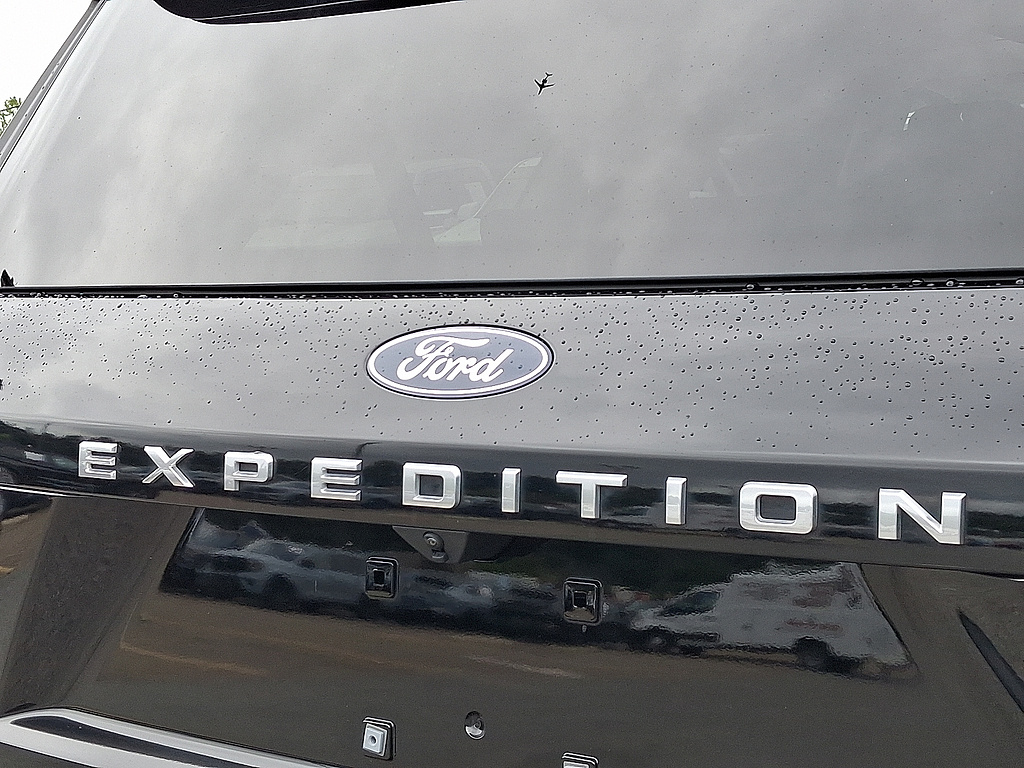 2025 Ford Expedition Max Active Agate Black at Lake View Ford