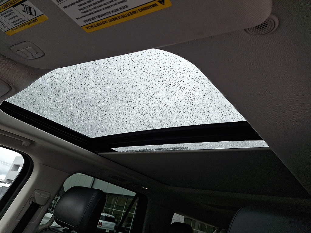 2025 Ford Expedition Max Active Agate Black at Lake View Ford