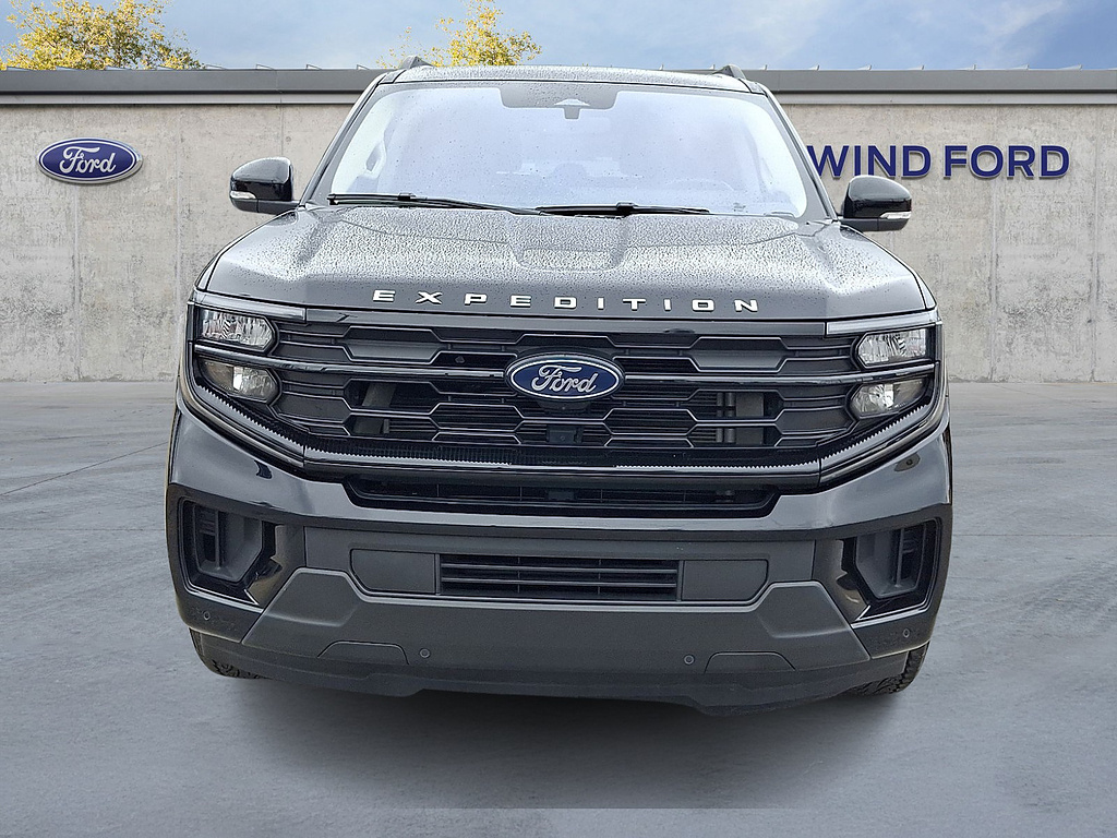 2025 Ford Expedition Max Active Agate Black at Lake View Ford