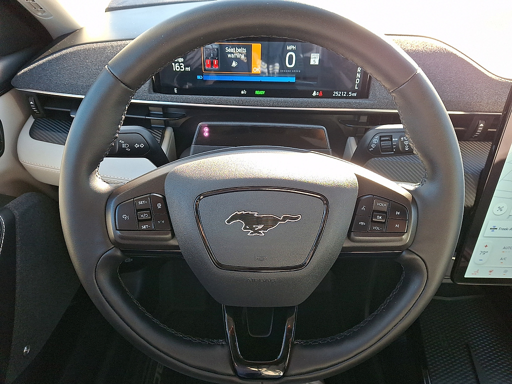 2023 Ford Mustang Mach-E photo 19 of 31