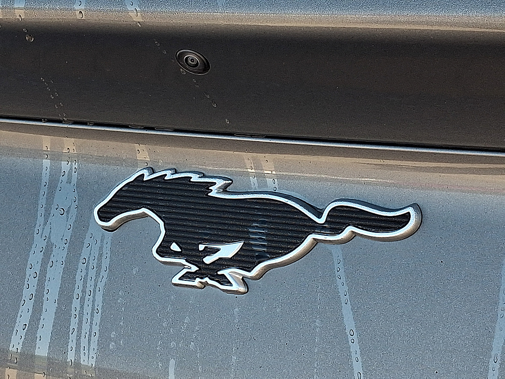 2023 Ford Mustang Mach-E photo 30 of 31
