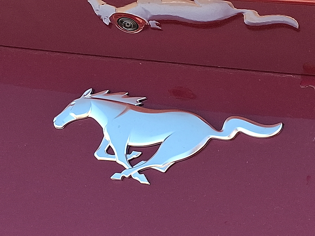 2026 Ford Mustang EcoBoost Premium RED at Woltz & Wind Ford