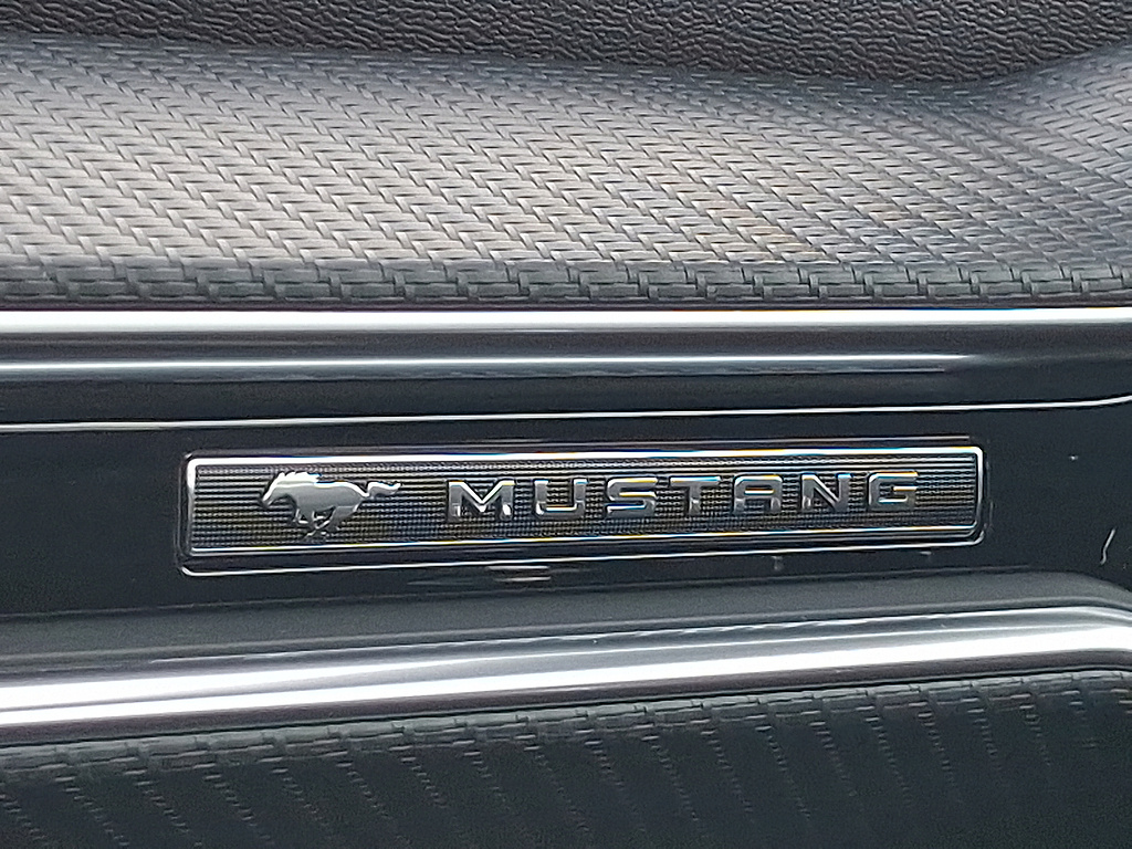 2026 Ford Mustang photo 30 of 31