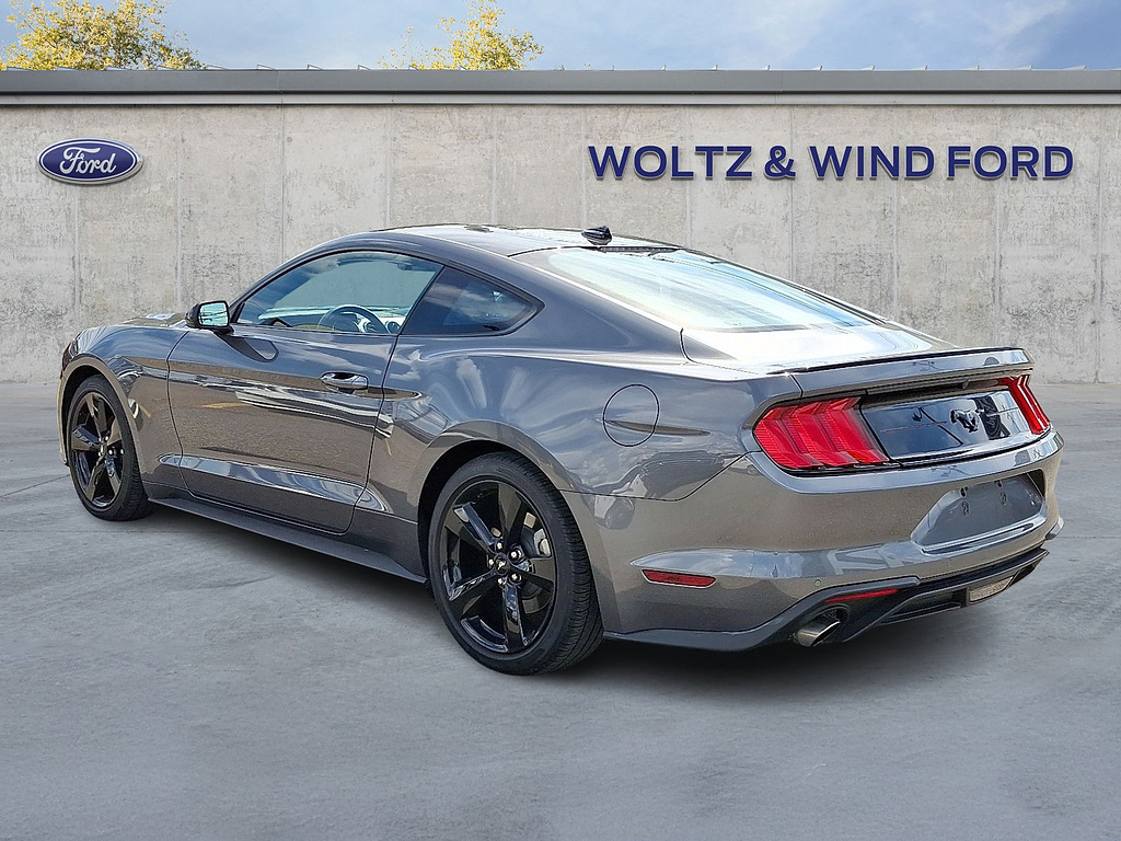 2021 Ford Mustang EcoBoost Carbonized Grey at Woltz & Wind Ford