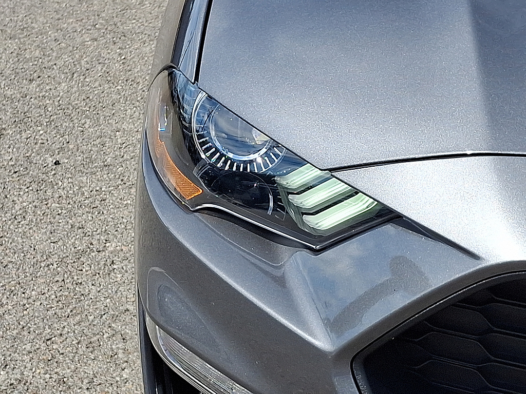 2021 Ford Mustang EcoBoost Carbonized Grey at Woltz & Wind Ford