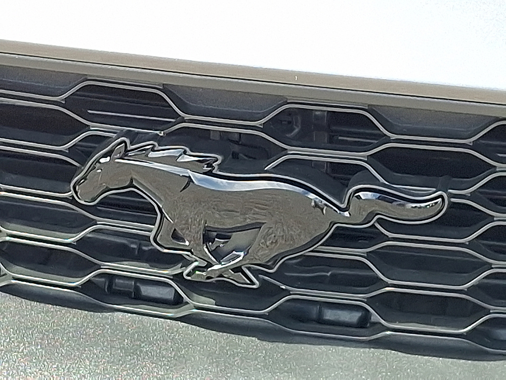 2021 Ford Mustang EcoBoost Carbonized Grey at Woltz & Wind Ford