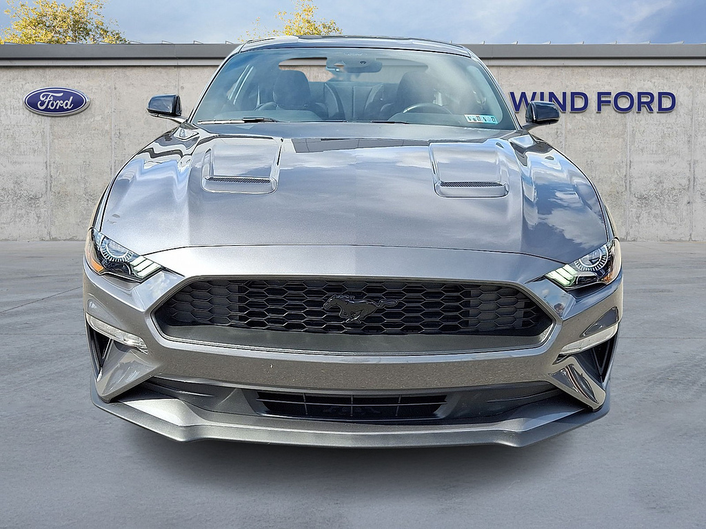 2021 Ford Mustang EcoBoost Carbonized Grey at Woltz & Wind Ford