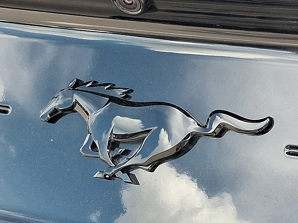 2021 Ford Mustang EcoBoost Carbonized Grey at Woltz & Wind Ford