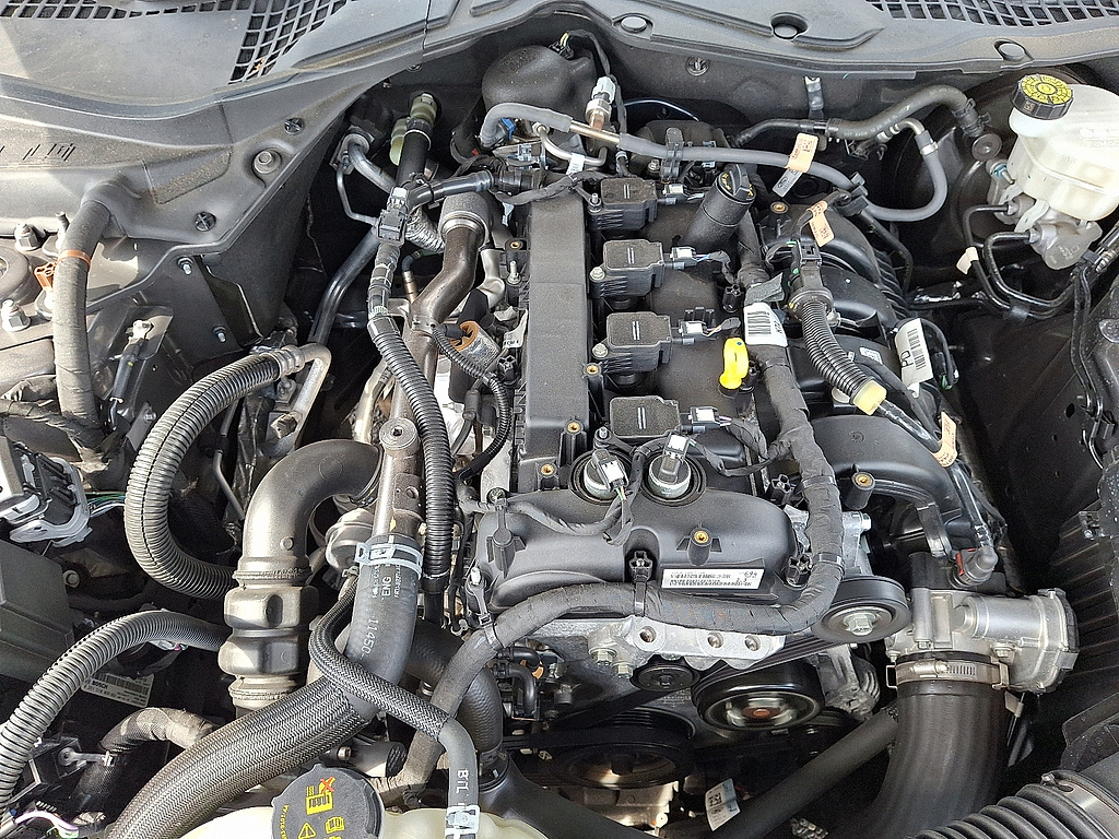 2021 Ford Mustang EcoBoost Carbonized Grey at Woltz & Wind Ford
