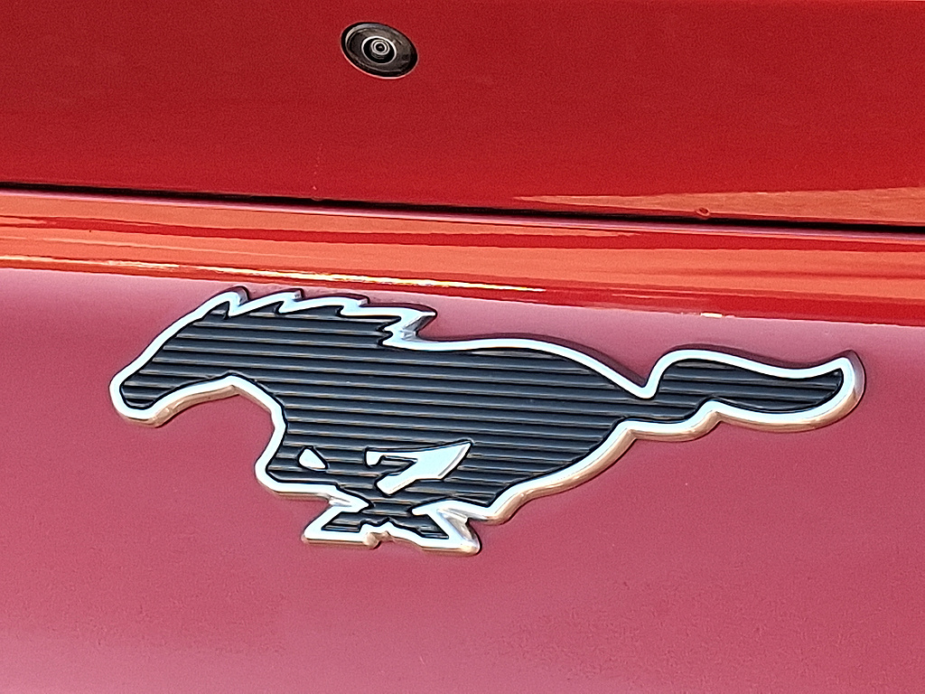 2023 Ford Mustang Mach-E photo 30 of 31