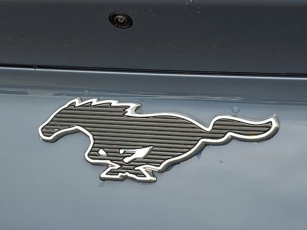 2024 Ford Mustang Mach-E photo 29 of 31