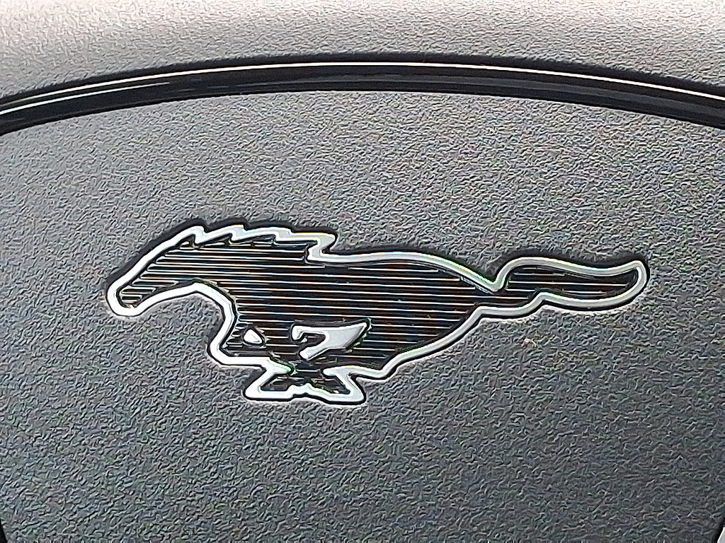2024 Ford Mustang Mach-E photo 31 of 31