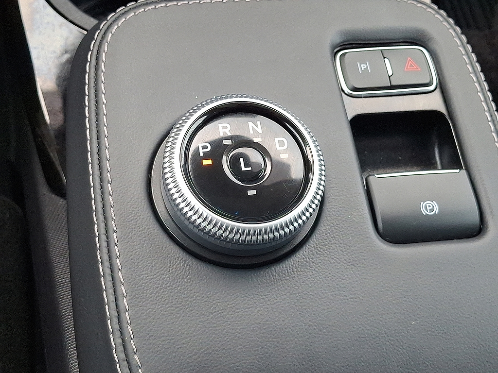 2024 Ford Mustang Mach-E photo 14 of 31
