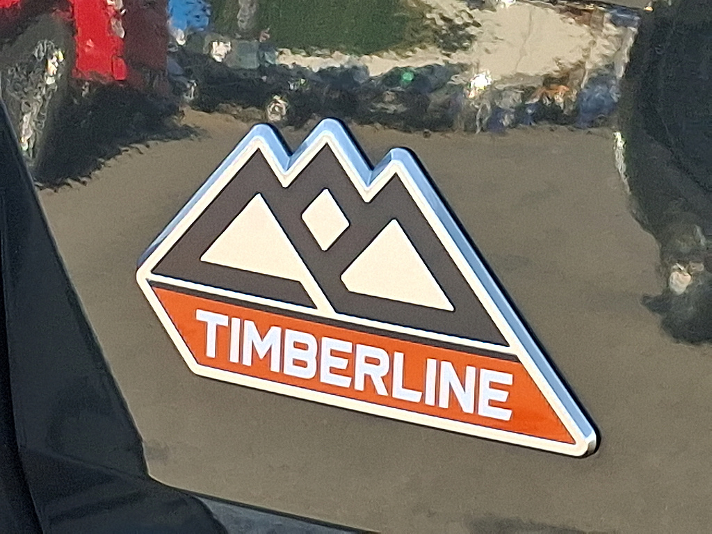 2022 Ford Explorer Timberline Forged Green at Lake View Ford