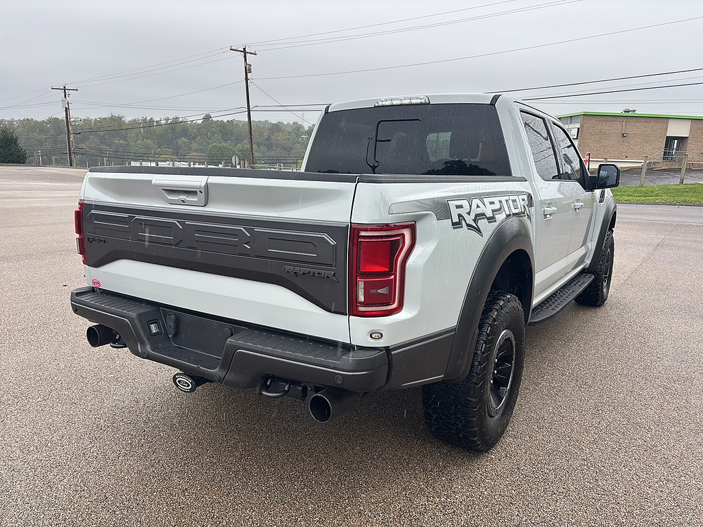 2017 Ford F-150 Raptor Avalanche Gray at Woltz & Wind Ford