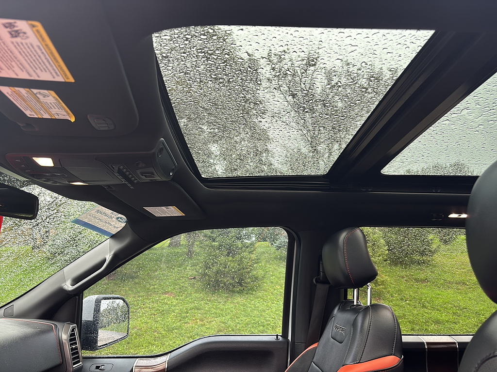 2017 Ford F-150 Raptor Avalanche Gray at Woltz & Wind Ford