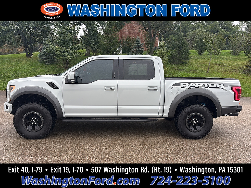 2017 Ford F-150 Raptor Avalanche Gray at Woltz & Wind Ford