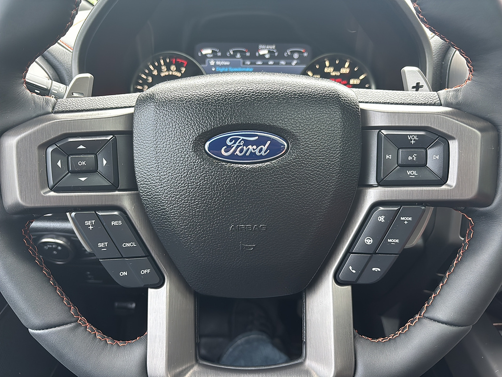 2017 Ford F-150 Raptor Avalanche Gray at Woltz & Wind Ford