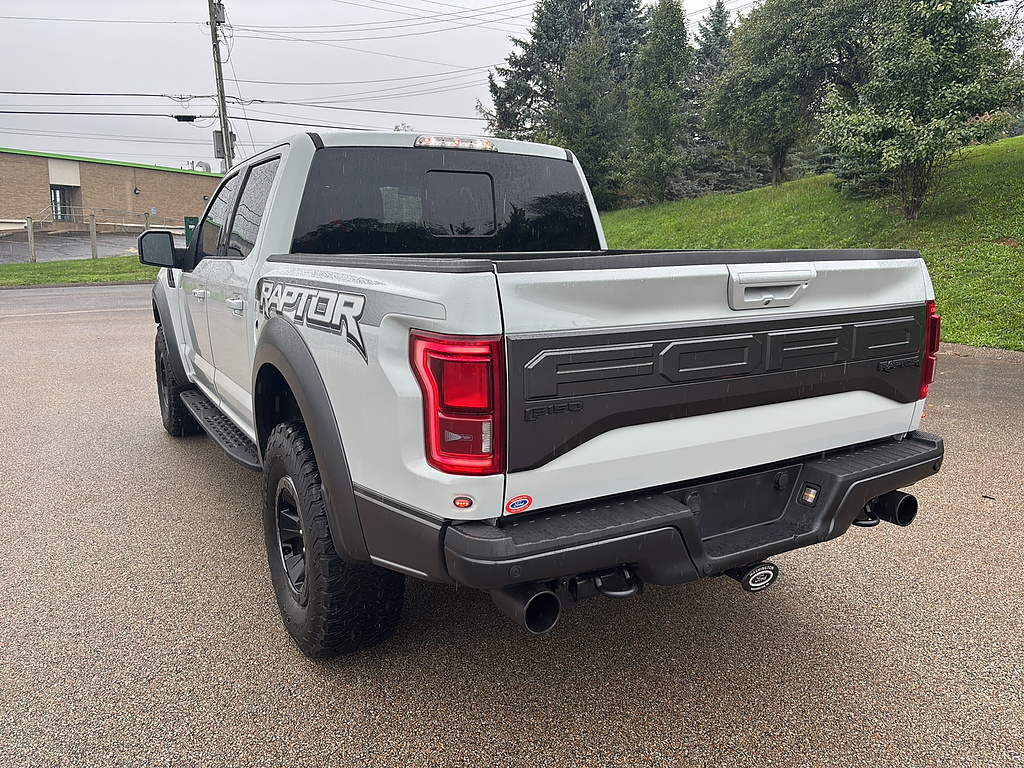 2017 Ford F-150 Raptor Avalanche Gray at Woltz & Wind Ford