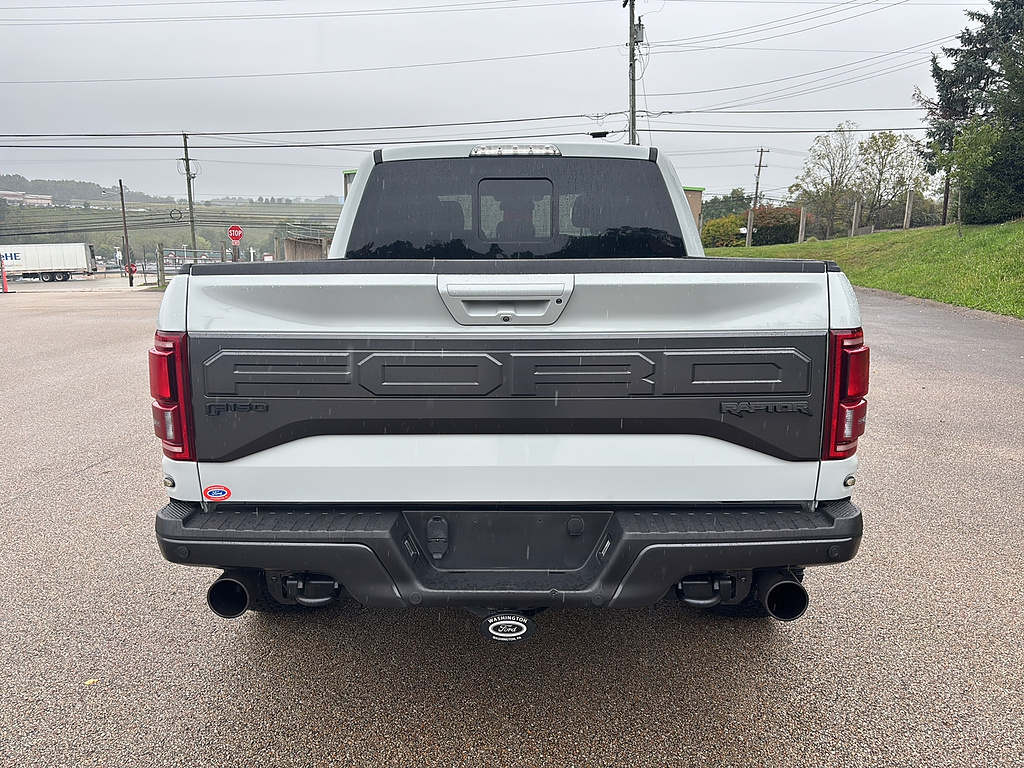 2017 Ford F-150 Raptor Avalanche Gray at Woltz & Wind Ford